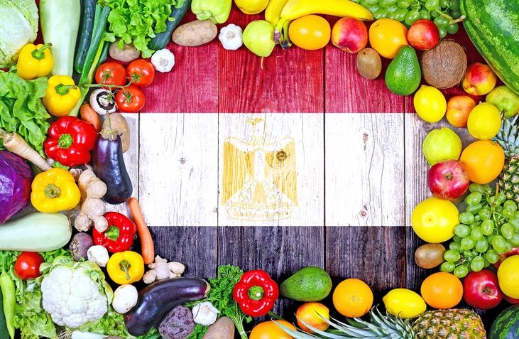 fresh Egyptian fruits vegetables export